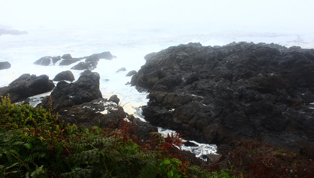 Beyond Alpine: Wild Pacific Trail's Stunning Coastal Beauty in Ucluelet
