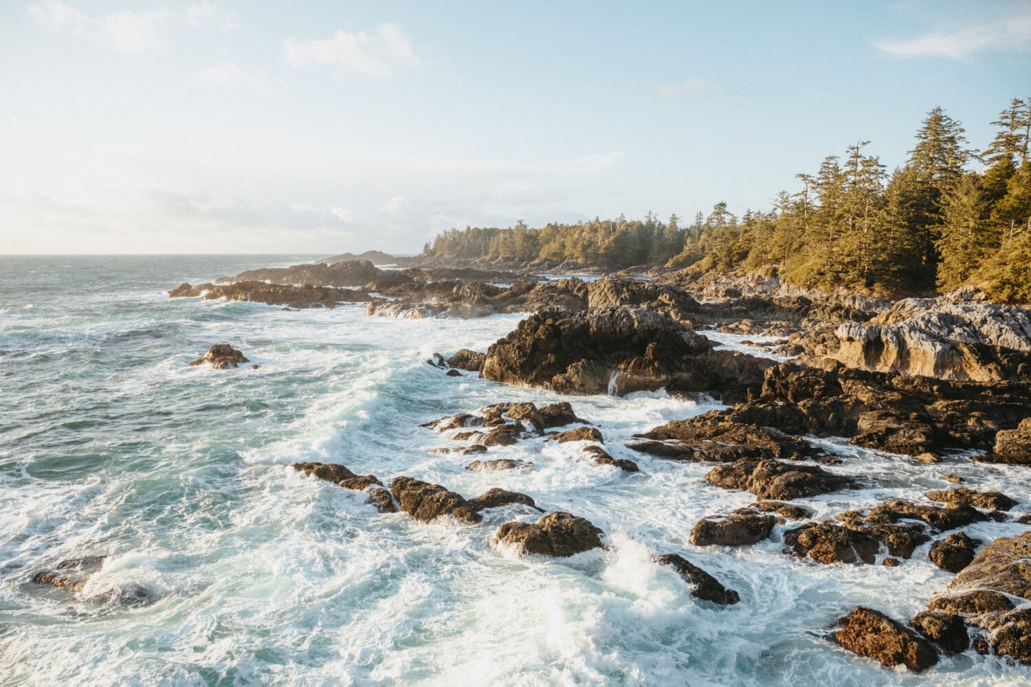 Your Guide to Ucluelet's Wild Pacific Trail: Coastal Views & Rainforest